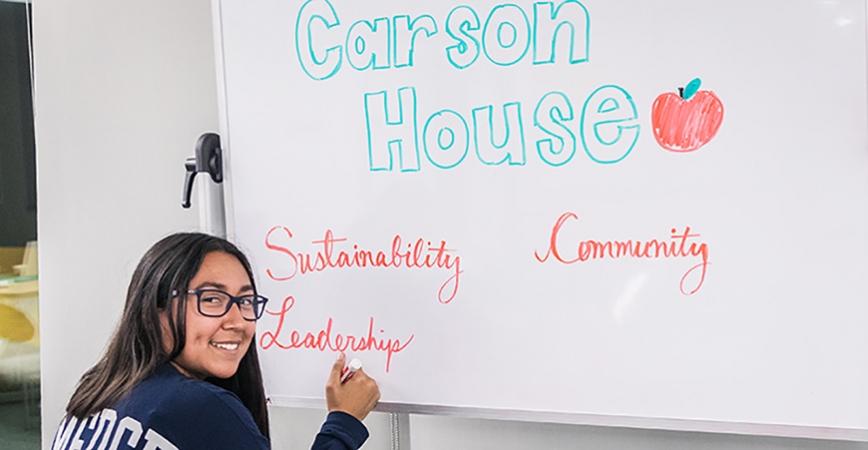 Carson House Hangout
