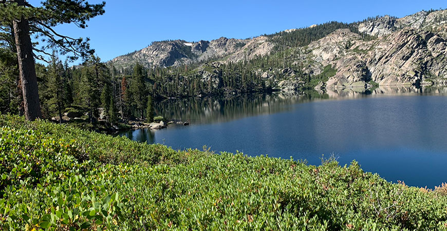 Green Sierra Nevada views from a river basin