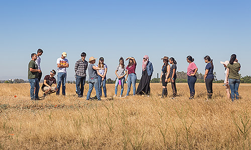 High school students in the STEP program were led on a tour of the UC Merced Vernal Pools and Grassland Reserve.
