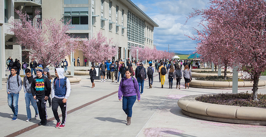 Students walk along Scholars Lane on campus.