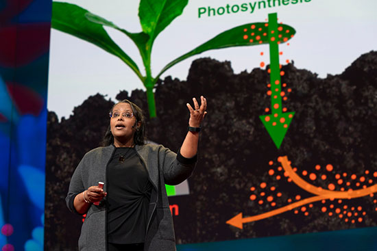 Professor Berhe presents TEDTalk with a slide about photosynthesis