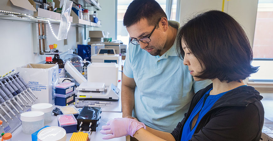 Professor Jing Xu and student Arturo Zaragoza study findings over a lab desk