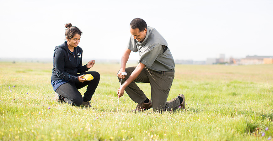 Two researchers kneeling in a green, grassy field.