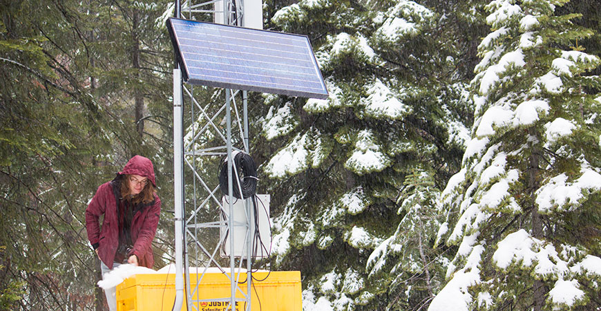 Student next to snowpack measure among snow-covered trees