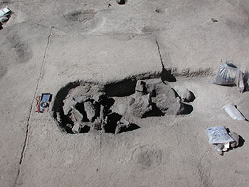 Andean burial site found under stone