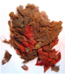 The fabric was analyzed by Margarita Gleba of the McDonald Institute of Archaeological Research at the University of Cambridge
